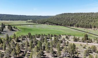 Mile Post 12 Fish Hole Creek, Bly, OR 97622