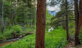 1217 Big Owl Rd, Allenspark, CO 80510