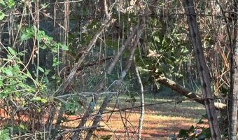 25397 TAYLOR CREEK Rd Lot 0, Amite, LA 70422