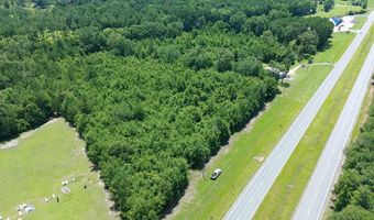 7821 Tallahassee Hwy 8.98+/- Acres, Attapulgus, GA 39815
