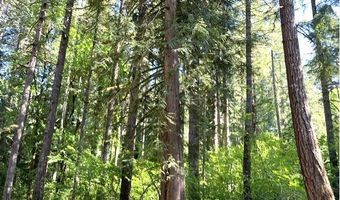 Tunnel Tract Parcel3, Banks, OR 97106