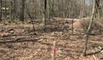Cree Trail, Albrightsville, PA 18210