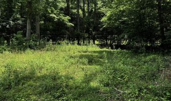 TBD Paint Fork Rd, Barnardsville, NC 28709