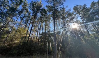 0 Bar M Farm Rd, Andalusia, AL 36421