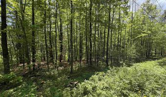 Bear Hill Road, Brookfield, VT 05036