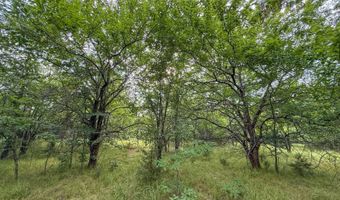 Tract 5 Highway 70, Bennington, OK 74723