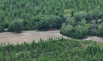 4601 Seven Pines Rd Lot 4 & 1, Barnwell, SC 29812