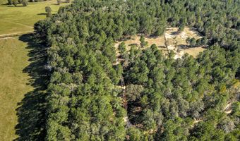 988 Flowing Well Rd, Wagener, SC 29164