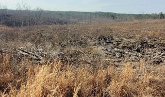 85 6+/- Acres County Road 2291, Booneville, MS 38829
