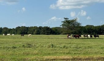Tbd E Fm 2795, Alba, TX 75410