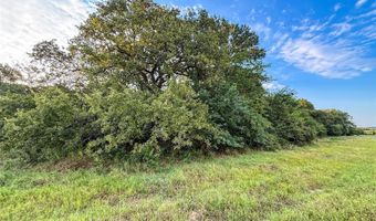 225 County Road 1475, Alvord, TX 76225