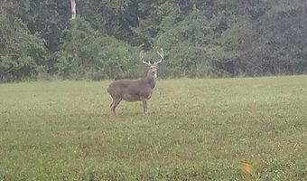 425 Rose Hill Rd, Bentonia, MS 39040