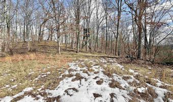 3938 Saint Clara Rd, Alum Bridge, WV 26321