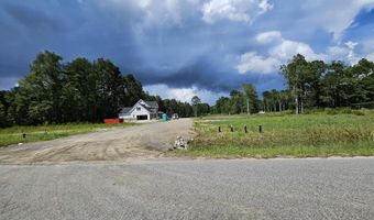 1160 Porcher School Rd Lot 4, Awendaw, SC 29429