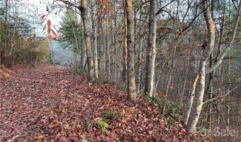 Kimiko Lane lot 43, Balsam Grove, NC 28708