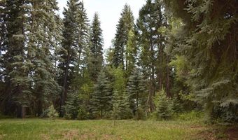 Vallecito Pl, Bayfield, CO 81122