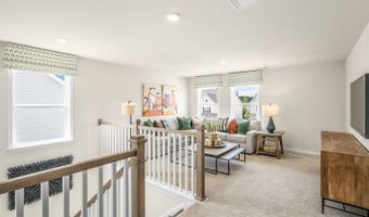 5298 Jessie Dr Plan: NORMAN, Apex, NC 27539