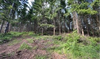 NW LODGE Rd, Banks, OR 97106