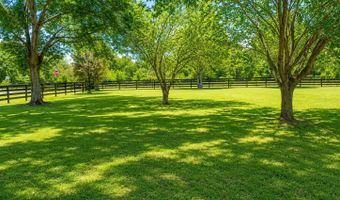 12820 NW 116TH Pl, Alachua, FL 32615