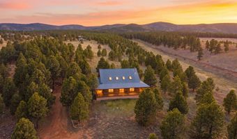 10 N Touch Me Not, Angel Fire, NM 87710
