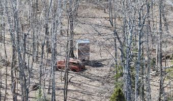 5280 Cathro Rd, Alpena, MI 49707