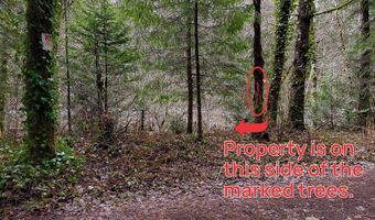 E Barlow Trail Rd, Brightwood, OR 97011