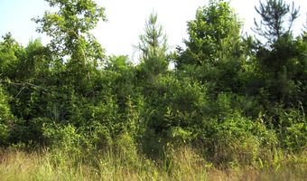 263 LR 182, Ashdown, AR 71822