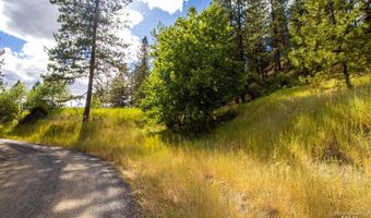 0 Whitetail Dr, Ahsahka, ID 83520