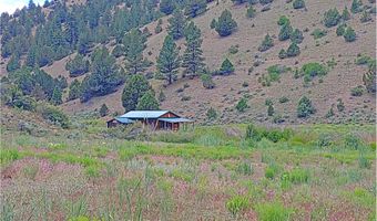 12142 Burns-Izee Rd, Seneca, OR 97873