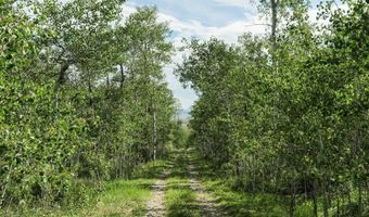 TRACT 14 SPRING HOLLOW ROAD, Daniel, WY 83115