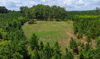 County Road 53, Banks, AL 36005
