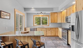 52 Coot Pl, Alma, CO 80420