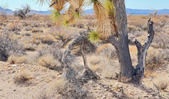 Lot 166 Lake Havasu Acres, Yucca, AZ 86438