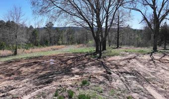 761 Richardson, Amity, AR 71921