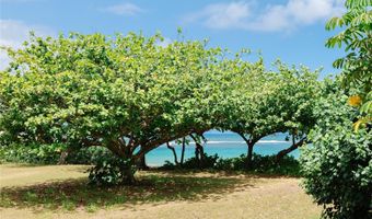 66-303 Haleiwa Rd A203, Haleiwa, HI 96712