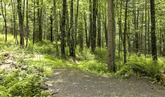 154 Lang Rd, Accord, NY 12404