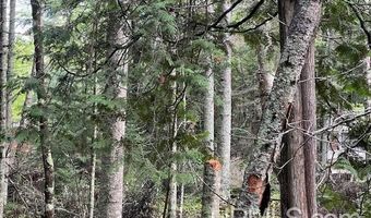 TBD Cable Lake, Amasa, MI 49903
