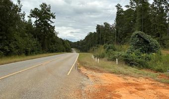 S Henry CR 93/Fisherman's Cutoff, Abbeville, AL 36210