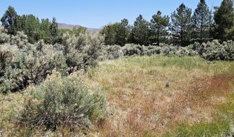 310 Mark Way, Carson City, NV 89706