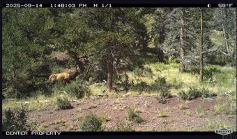 Spanish Peaks Dr, Aguilar, CO 81020