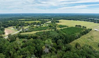 20 Ac State Hwy 95 Columbia Rd, Abbeville, AL 36310