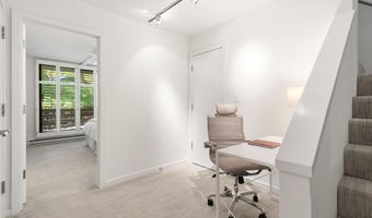 800 E Hopkins Ave A-3, Aspen, CO 81611