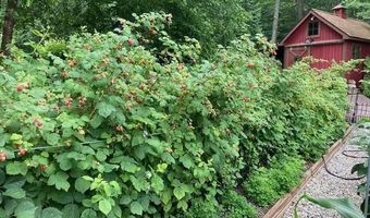 267 S Cove Rd, Burlington, VT 05401