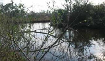 10241 River Dr, Bay St. Louis, MS 39520