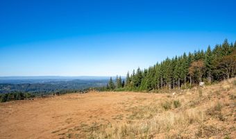 No SIte Address, Battle Ground, WA 98604