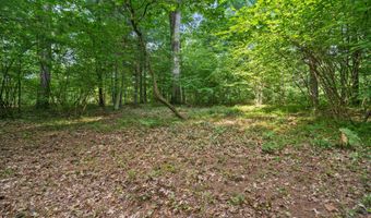 1125 39th St, Allegan, MI 49010