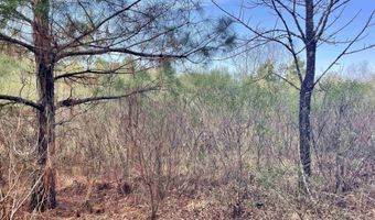 S Waller Rd, Bald Knob, AR 72010