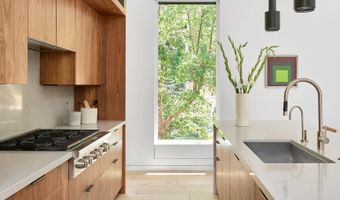 612 W Francis St, Aspen, CO 81611