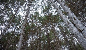 685 17th Dr Lot 6, Arkdale, WI 54613