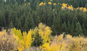 1650 Last Resort Ln, Ashton, ID 83420